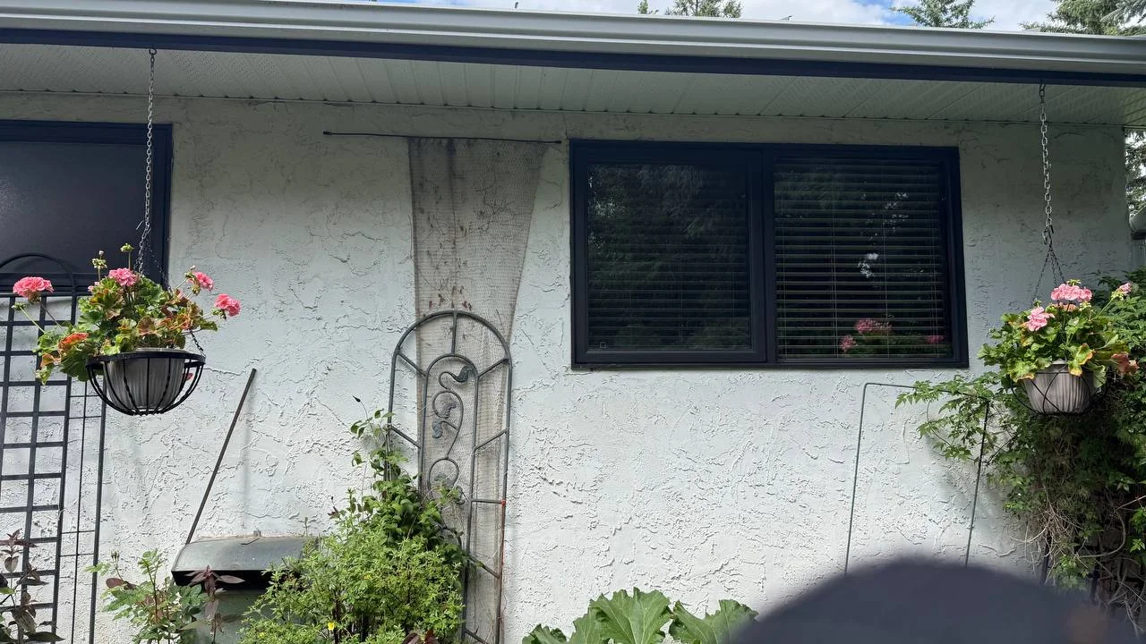 Clean bungalow windows after exterior service