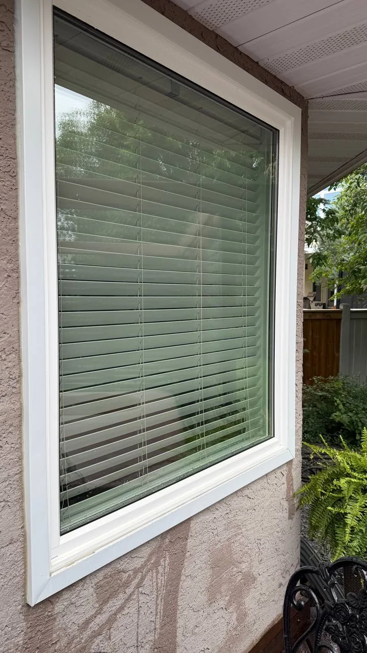 Professionally cleaned residential window