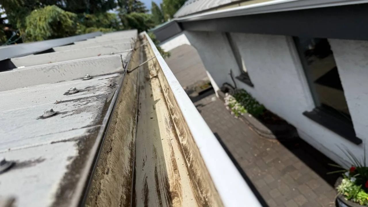 Clean bungalow gutter after debris removal