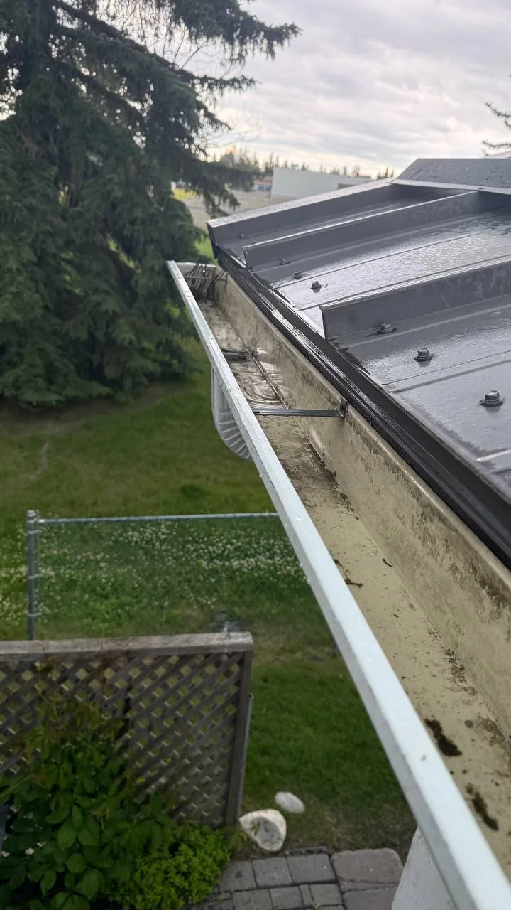 Clean bungalow gutter after service